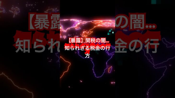 【暴露】関税の闇…知られざる税金の行方