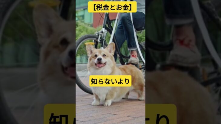 税金とお金。