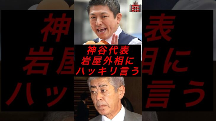 神谷代表、岩屋外相にハッキリ言う #政治 #税金 #自民党 #参政党 #神谷宗幣