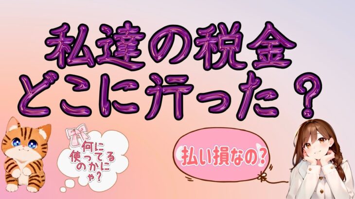 私達の税金どこに行った?