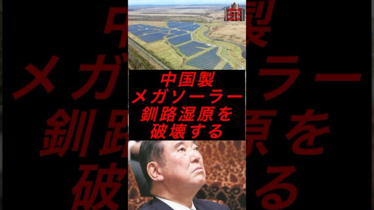 中国製メガソーラー、釧路湿原を破壊する #政治 #税金 #自民党 #岩屋外務大臣 #メガソーラー