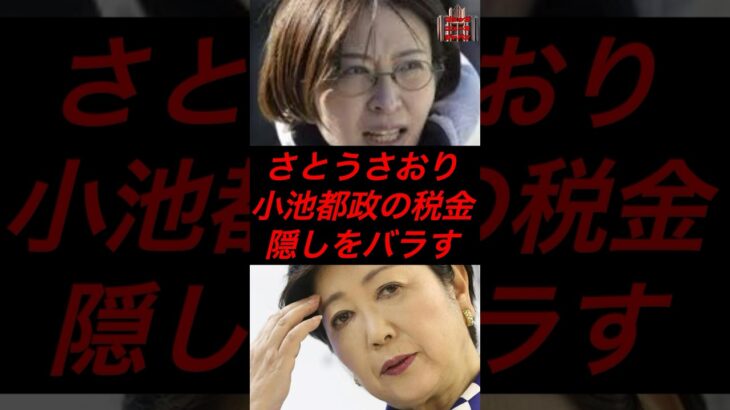 さとうさおり、小池都政の税金隠しをバラす　#政治 #税金 #さとうさおり #都民ファーストの会 #小池百合子