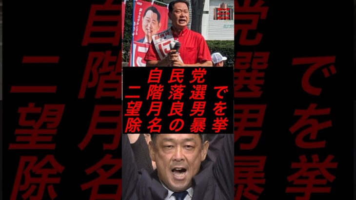 自民党、二階落選で望月良男を除名の暴挙 #政治 #税金 #自民党 #石破 #二階
