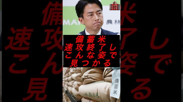 備蓄米、速攻終了しこんな姿で見つかる #政治 #税金 #自民党 #備蓄米 #小泉進次郎
