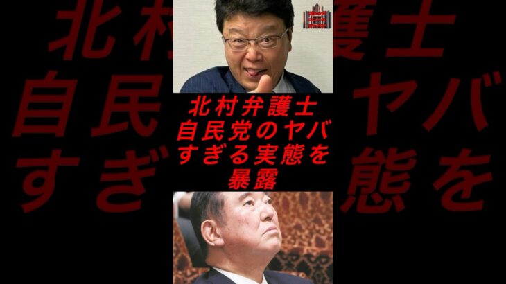 北村弁護士、自民党のヤバすぎる実態を暴露　#政治 #税金 #自民党 #石破 #参院選 #北村弁護士 #日本保守党