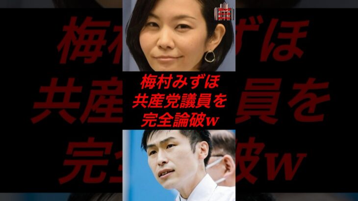梅村みずほ、共産党議員を完全論破 #政治 #税金 #参政党 #神谷宗幣 #梅村みずほ #共産党