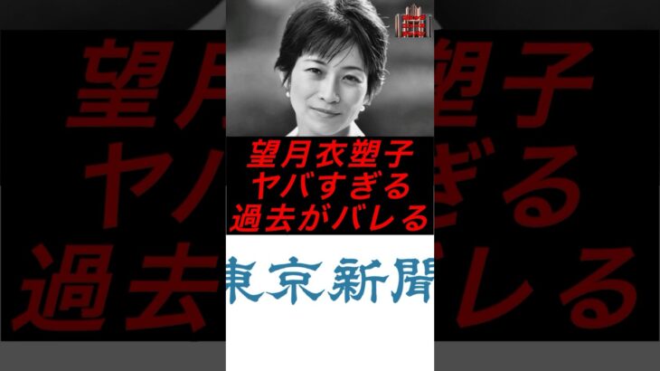 望月衣塑子、ヤバすぎる過去がバレる #政治 #税金 #自民党 #参政党 #神谷宗幣 #参院選 #望月衣塑子