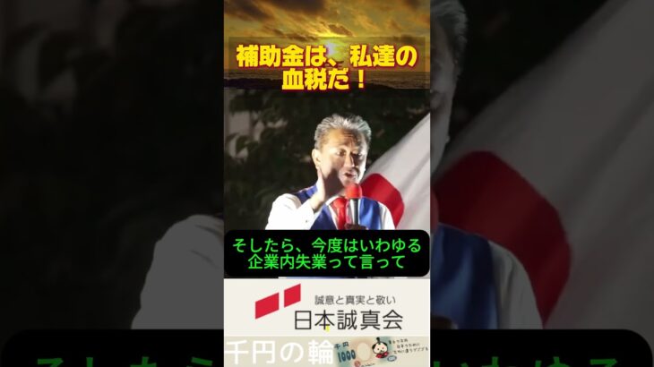 なんで外国人に、税金から補助金、出すんだ？！