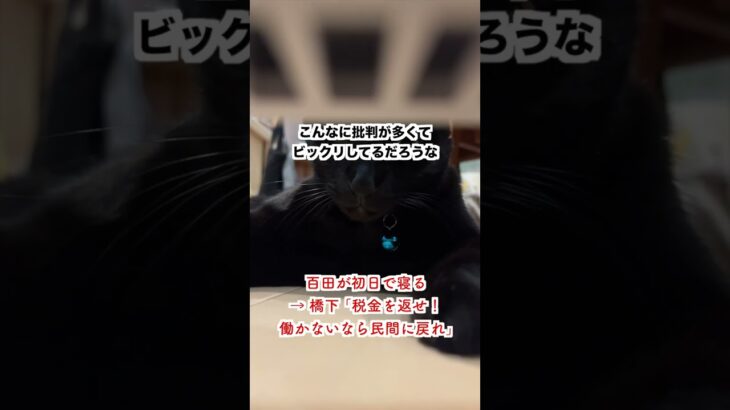 百田の初日で居眠り疑惑→橋下徹「税金を返せ！」