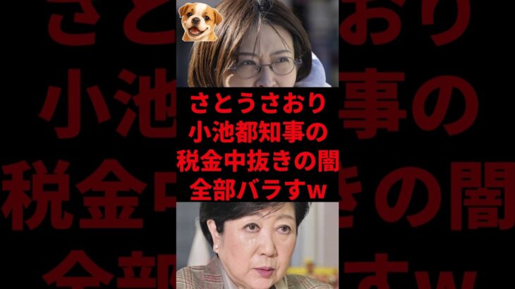 さとうさおり、小池都知事の税金中抜きの闇全部バラすw